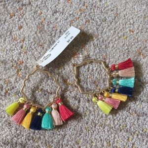 Colorful Tassel Hoop Earrings
